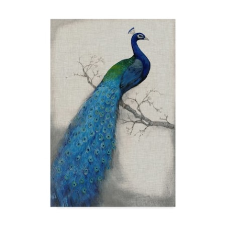 Tim Otoole 'Peacock Blue I' Canvas Art,22x32
